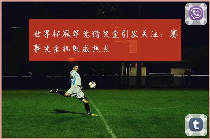 世界杯冠军竞猜奖金引发关注，赛事奖金机制成焦点