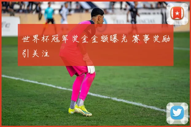 世界杯冠军奖金金额曝光 赛事奖励引关注