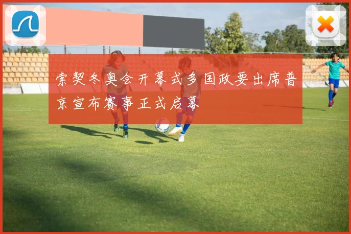 索契冬奥会开幕式多国政要出席普京宣布赛事正式启幕