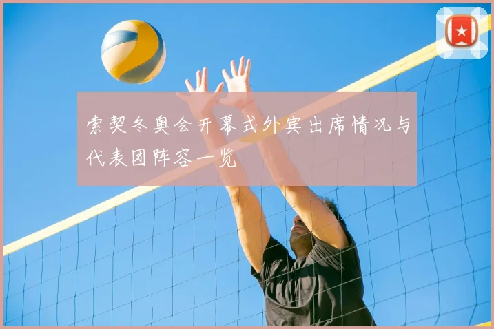 索契冬奥会开幕式外宾出席情况与代表团阵容一览