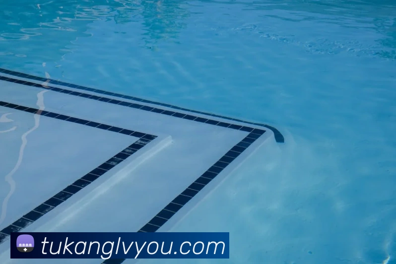 世界杯开户平台服务体系